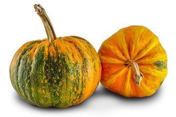 Ripe pumpkins isolated on white background