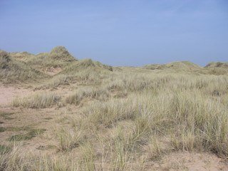 Sands of Forvie I