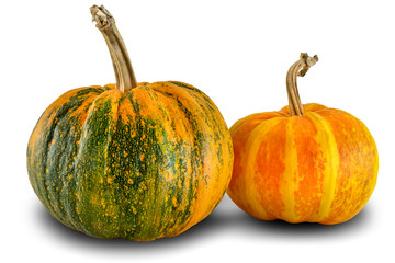 Two different color ripe pumpkins isolated on white background