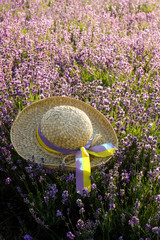 Straw hat with a colorful ribbon in the lavender field