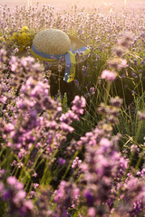 Straw hat in the beautiful summer field of lavender lit with sunlight