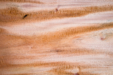 Close-up large hardwood plank with detail, texture and pattern of skin wood nature background, brown color wood plank with empty for put text or anything