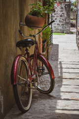 Fototapeta na wymiar Bicicleta vintage