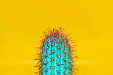 Foto op Aluminium Background with cactus in trendy  color © de Art
