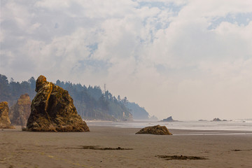 Fototapeta na wymiar forested background behind misty shore and seastacks