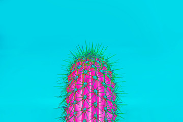 Background with cactus in trendy  color