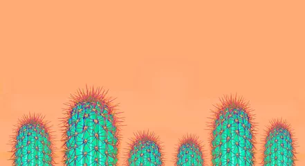 Fotobehang Background with cactus in trendy  color © de Art