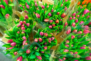 Sale of flowers. Tulips. Bouquets of tulips. Pink tulips. Spring flowers. Flower delivery. Flowers as a gift.