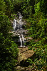 Fototapeta premium Waterfall in deep forest - Floresta da Tijuca - Rio de Janeiro