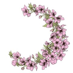 Cherry blossom wreath. Spring sakura flowers. Hand drawn vector.