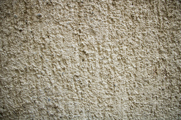 texture of a wall