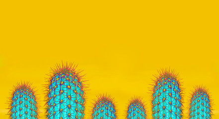 Background with cactus in trendy  color - Powered by Adobe