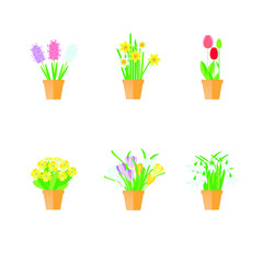 Spring flowers in pot. Flat design red tulips, white snowdrops, yellow primrose, pink blue hyacinths, violet crocuses, daffodils in brown pot on white design element stock vector illustration for web,