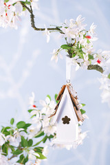 Little Birdhouse in Spring with blossom cherry flower