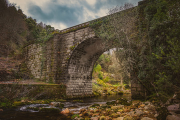 Fototapeta na wymiar Bonita ponte em pedra com um arco