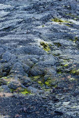 Fels im Krafla-Lavafeld, Myvatn, Island
