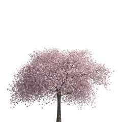Fototapeta premium Tree 3d illustration isolated on the white background