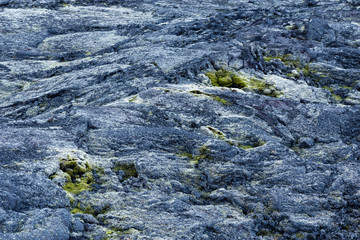 Fels im Krafla-Lavafeld, Myvatn, Island