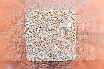 Flat top closeup of raw vegan healthy snack or ingredients with salt sunflower seeds pattern texture for blending in blender to make butter or sauce