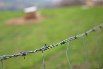 Barbed wire fence in the countryside