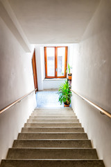 Vertical view of hall interior in Italian apartment home with window and green plants looking down...