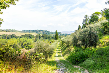 Chiusi, Italy landscape of rolling hills with vineyard winery olive grove in town village during...