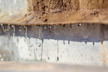 Close-up spring drops on the street in a large macro increase in the sunlight day. Soft and selective focus.