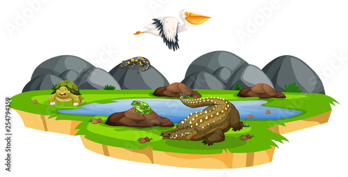 Animals near pond scene