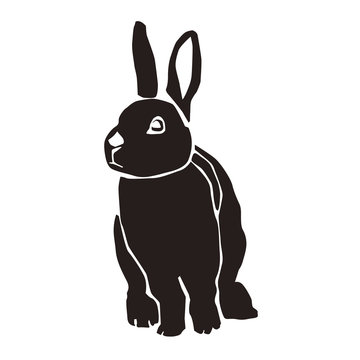 recommend clip art: うさぎ