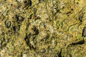 Part of the rocky stones for the whole frame
