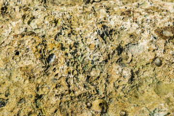 Part of the rocky stones for the whole frame