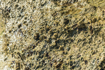 Part of the rocky stones for the whole frame