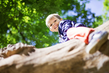 Happy little boy climbing tree in summer park