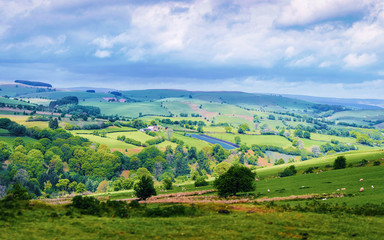 Fototapeta na wymiar Landscape with sheep on hills in Snowdonia National Park UK