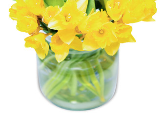 Yellow narcissus flowers bouquet in vase white background