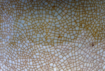 The texture of the porcelain wares