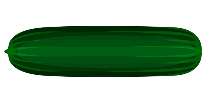 Isolated cucumber icon image. Vector illustration design