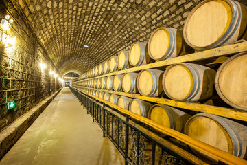  Wine Cellar with Wooden Barrels