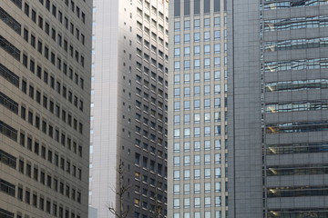 Fototapeta premium 高層ビル