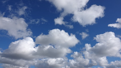 Blue sky with white fluffy clouds