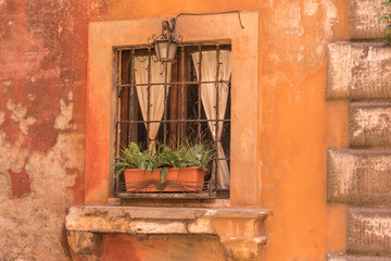 Fototapeta na wymiar Windowsill with potted plants in Rome Italy