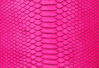 Magenta snake skin background. Animal print texture