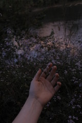 Moody Hand reaching for wildflowers