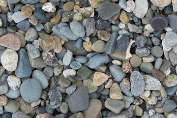 Cobblestone background on the beach