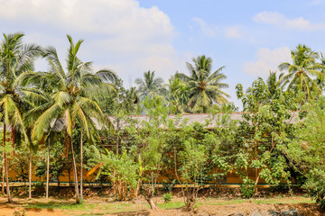 Fototapeta na wymiar Sri Lankan Home