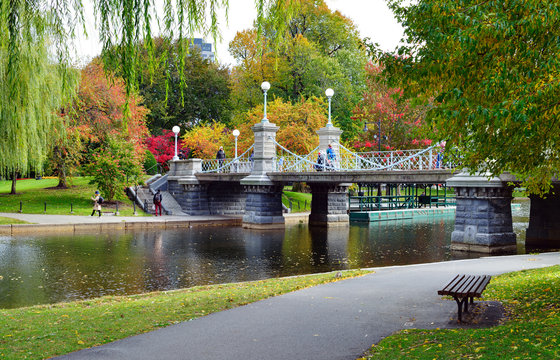 Lagoon Bridge and Fall Colors in Boston Public Garden