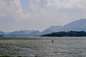 Lake in Sri Lanka