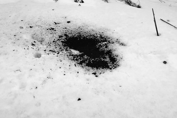 black ash from a fire on white snow