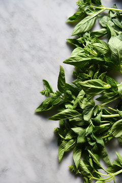 Close up of basil on marble