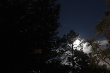 Fototapeta premium CIELO NOCTURNO